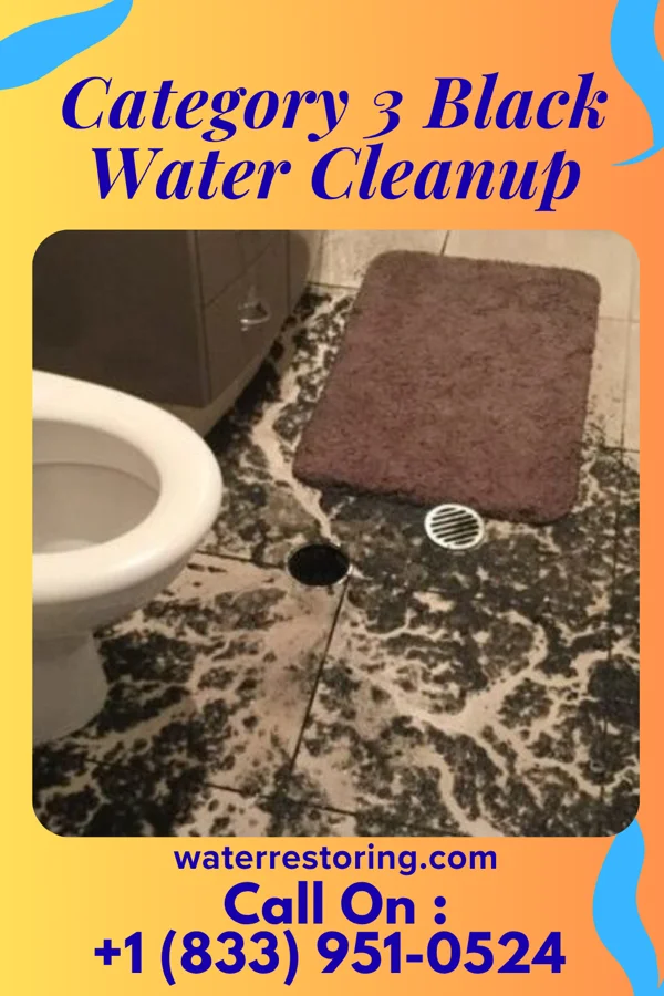 Category 3 Black Water Cleanup in Bell Acres, PA
