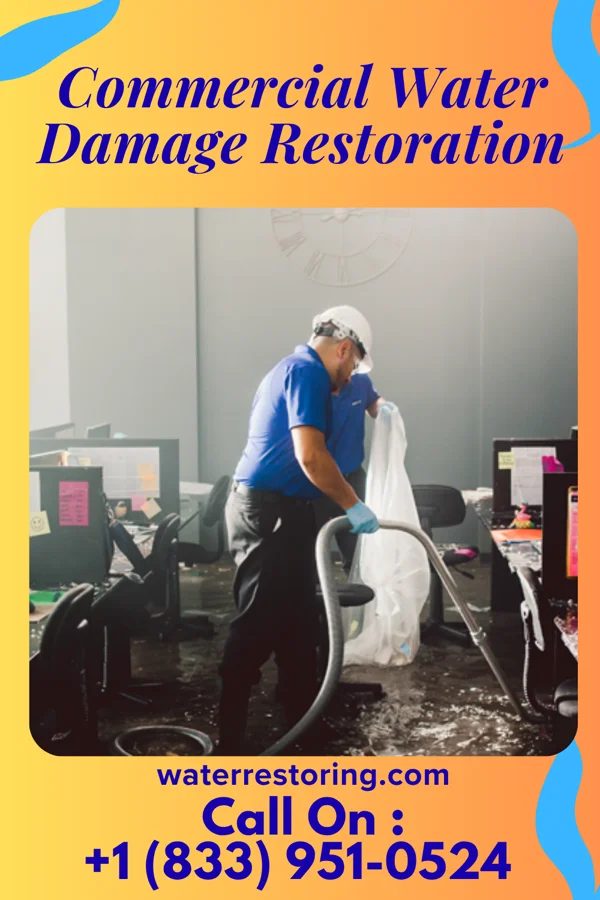 Commercial Water Damage Restoration in Bell Acres, PA