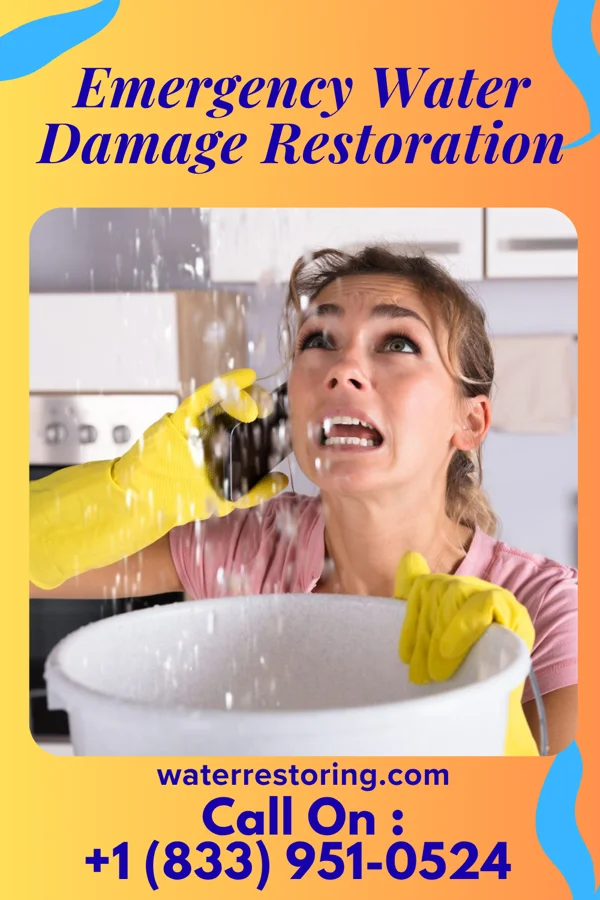 Emergency Water Damage Restoration in Bell Acres, PA