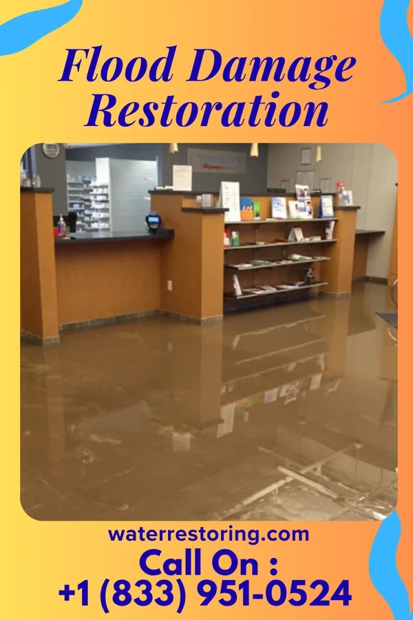 Flood Damage Restoration in Bell Acres, PA