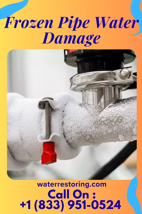 Frozen Pipe Water Damage in Bell Acres, PA