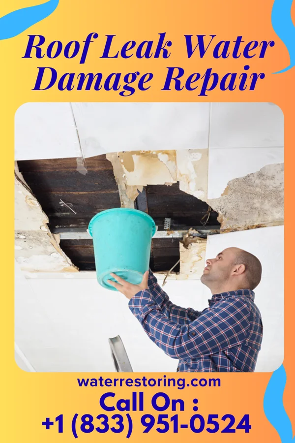 Roof Leak Water Damage Repair in Bell Acres, PA