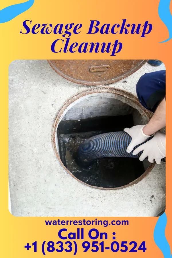 Sewage Backup Cleanup in Bell Acres, PA
